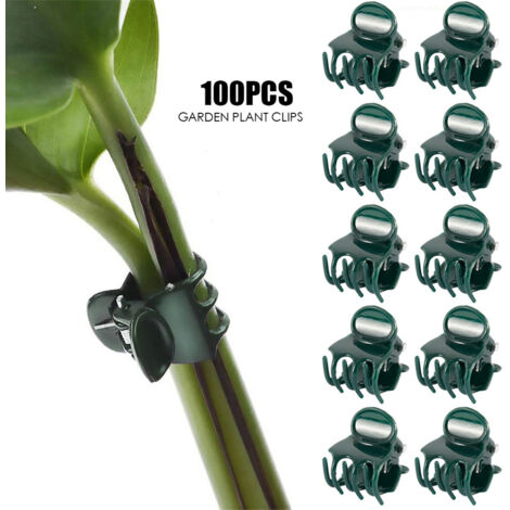 100 clips en plastique pour orchidées, clips de fixation pour plantes grimpantes et arbustes. (1/4)