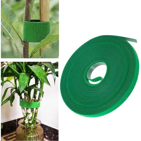Ruban de fixation pour plantes, 50 m de longueur, largeur 12 mm, ZQKLA (1/5)