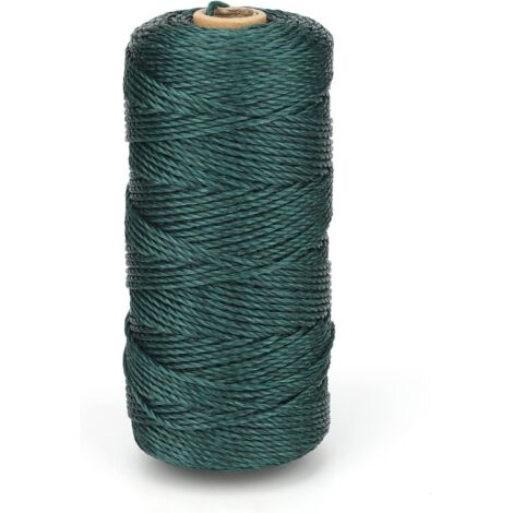 Corde en nylon vert de 100 m, épaisseur 2 mm, idéale pour le jardinage, les travaux manuels, le tuteurage des plantes et le camping. Résistante aux intempéries et à la déchirure. (1/5)