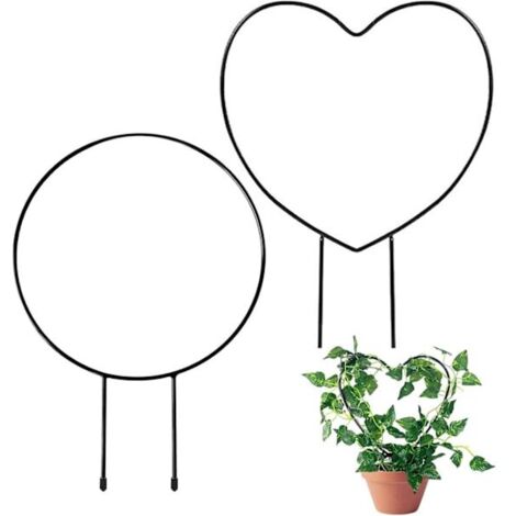 Deux supports métalliques pour plantes, adaptés aux plantes d'intérieur, aux plantes grimpantes et aux plantes en pot. (1/5)