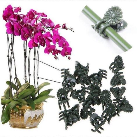 20/50/100 pinces de support pour plantes en plastique, pinces pour tiges d'orchidées, pinces pour attacher les branches de fleurs grimpantes, outils de jardinage (1/5)
