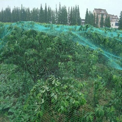 Filet anti-oiseaux pour plantes, arbres fruitiers et autres végétaux, 4 x 10 m (1/4)