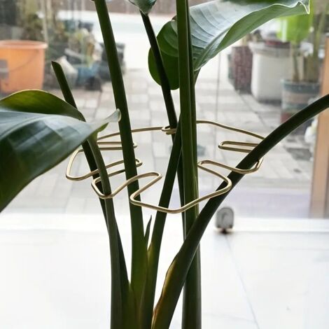 1 grand support suspendu pour plantes, crochets en fer, convient aux pots de fleurs, pour une utilisation intérieure et extérieure. (1/5)