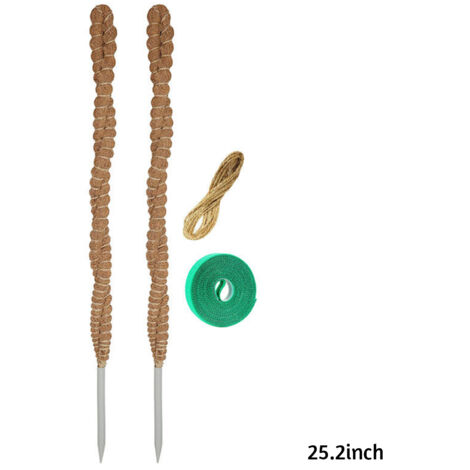 Tuteur en mousse pour plantes d'intérieur, tige de support résistante à l'usure pour plantes grimpantes, 64 cm (25,2 pouces). (1/5)