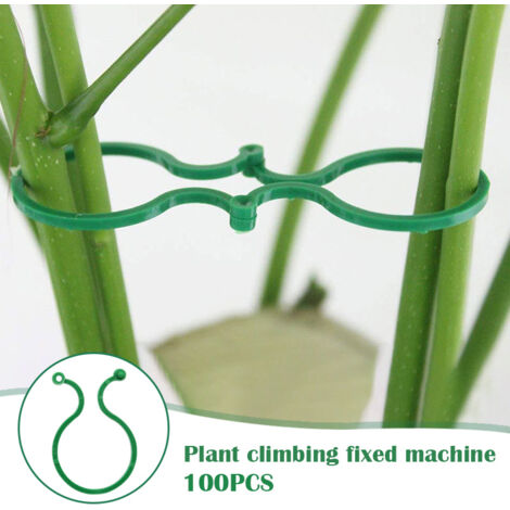 100 supports de fixation pour plantes grimpantes de jardin, crochets et accessoires de montage (1/5)