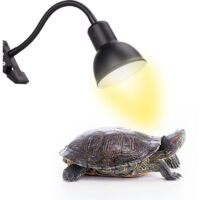 Lampe chauffante pour tortues avec minuterie, lampe chauffante pour reptiles, lampe chauffante terrazzo pour tortues/lézards/serpents, lampe à brancher européenne