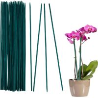 Tuteurs pour plantes - 50 pièces de 30 cm - Tuteurs résistants aux intempéries - Support de croissance - Tuteurs de jardin - Tuteurs en bambou - Pois