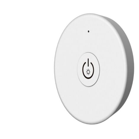 Control Remoto Tipo Regulador Mini Blanco (1/2)