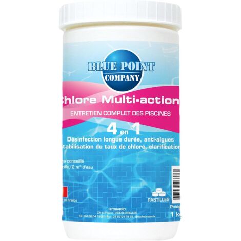 Chlore 4 En 1multi Actions 1kg Galet De 250g - Blue Point Company (1/5)