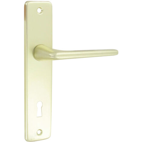 Ensemble de poignées de porte en aluminium anodisé champagne – Longueur 120 mm – Entraxe 165 mm – Pour portes 40 mm d'épaisseur – Dt 2000 (1/2)