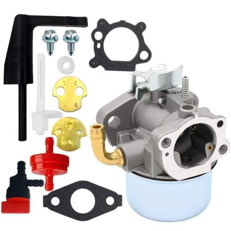 Compatible avec carburateur 798653 pour Briggs & Stratton 696981 698860 694508 795069 698859 790180 790290