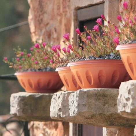Vaso da giardino ciotola Alba con sottovaso 25 cm terracotta (1/2)