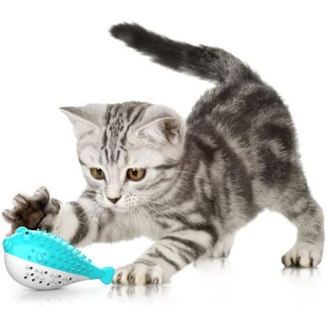 Jouet Dentaire Chat, Jouet pour Chat Jouet Molaire en SiliCône à Macher Jouet Chaton Cataire Brosse à Dents Forme de Poisson Jouet Interactif Hygiène Dentaire Chat(Bleu)-Fei Yu (1/5)