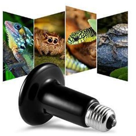 Ampoule chauffante pour Lampe chauffante Reptile 200W 220V, lampe chauffante en céramique étanche infrarouge E27 lampe chauffante en céramique pour amphibien Reptile (1/5)