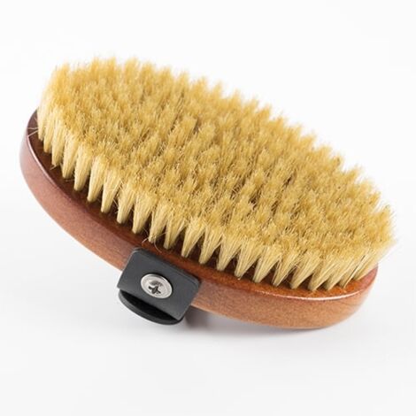 Brosse Ibanez poils naturels ovales, apporte de la luminosité au manteau, réglage facile (1/5)