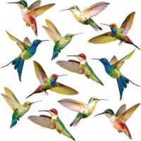 Litzee – Autocollants anti-collision pour fenêtres – Lot de 6 décalques de colibris en vinyle – Résistants et repositionnables – 6 x 7,8 pouces