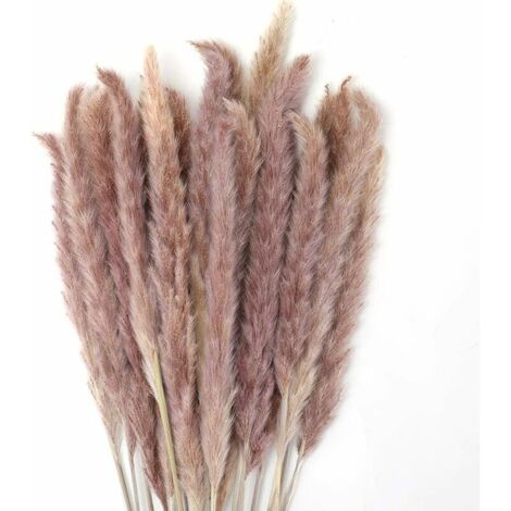 30pcs herbe de pampa 45cm fleur de pampa naturelle séchée bouquet pour vases bohème décor chambre maison salon mariage photographie table centres de table (1/5)