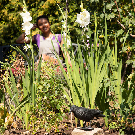stehende Dekofigur Taubenschreck für schwarz Taubenabwehr, als Gartenfigur, Vogelscheuche, Krähe, Figur Relaxdays