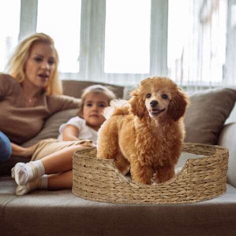 Ferplast Cuccia Cane e Gatto con Cuscino HALL, Lettino per Cani Gatti Lavabile, in Legno FSC