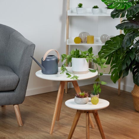 Qeunrtiy Gießkanne 2 Liter - Lange Tülle Für Zimmerpflanzen In Beige