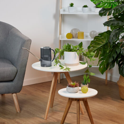 Relaxdays Gießkanne 1 Liter - Lange Tülle Aus Edelstahl Für Zimmerpflanzen, Grau