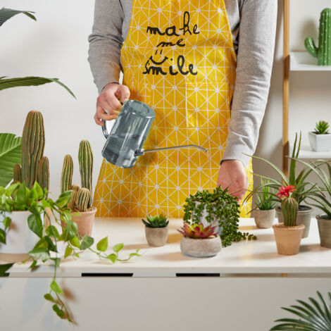 Relaxdays Gießkanne Zimmerpflanzen, 1 l, Kunststoff, Edelstahl