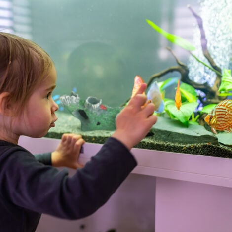 Relaxdays Aquarium Deko Baumstamm - Höhle Für Fische & Garnelen
