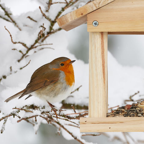 relaxdays Vogelhaus Vogelfutterspender zum Aufhängen