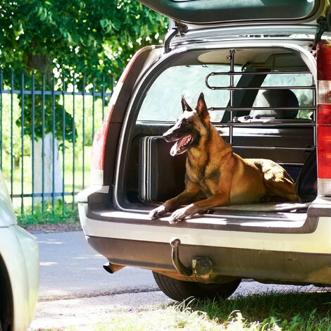 Relaxdays Hundegitter Auto, Schutzgitter Hund, zum Klemmen, Universal  Trenngitter, Höhe und Breite verstellbar, schwarz