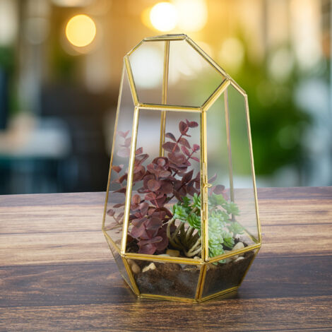 Nature Mini Kweekkas | Kweekbenodigdheden | Agro Tuin & Dier