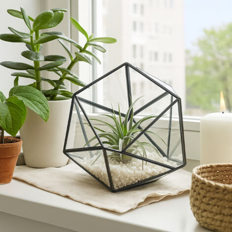 4er Set Glas-Pflanzgefäße Für Zimmerpflanzen – Anzuchtstation, Terrarium, Hängend, Geschenk Für Frauen