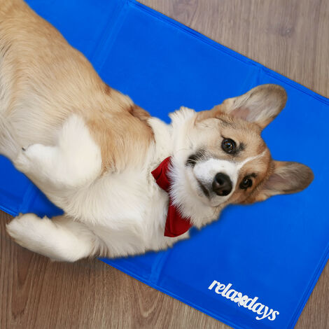 Relaxdays Kühlmatte Hund, selbstkühlend, abwischbar, robust, mit Gel, Kühldecke für Tiere, Kältedecke 50 x 90 cm, blau