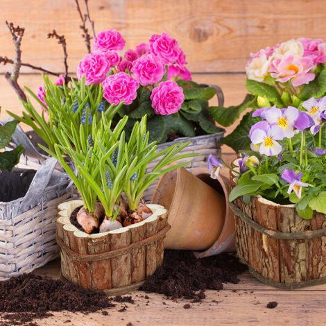 Relaxdays Blumenkasten Holz, 3er Set, Garten Deko zum Bepflanzen