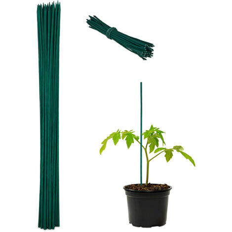 Relaxdays Pflanzenstab, 50er Set, Bambus, 60cm, Ø 6mm, Anzuchtstab für Gemüse, Blumen Rankhilfe, 50 Bindedrähte, grün (1/5)