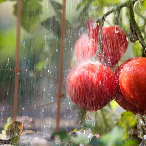 Relaxdays Rankhilfe 2er Set 76cm - Metall Rankgitter Mit 3 Verstellbaren Ringen