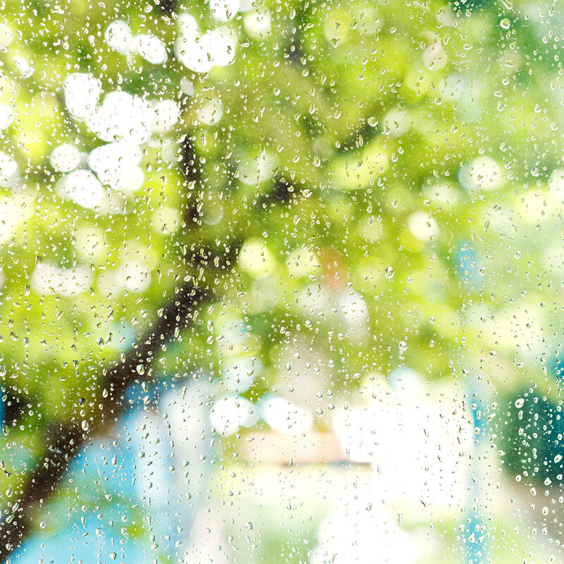 Relaxdays Lot de 10 pluviomètres, fixation, accessoire de mesure pour  jardin, 35 mm/m², plastique, transparent - vert