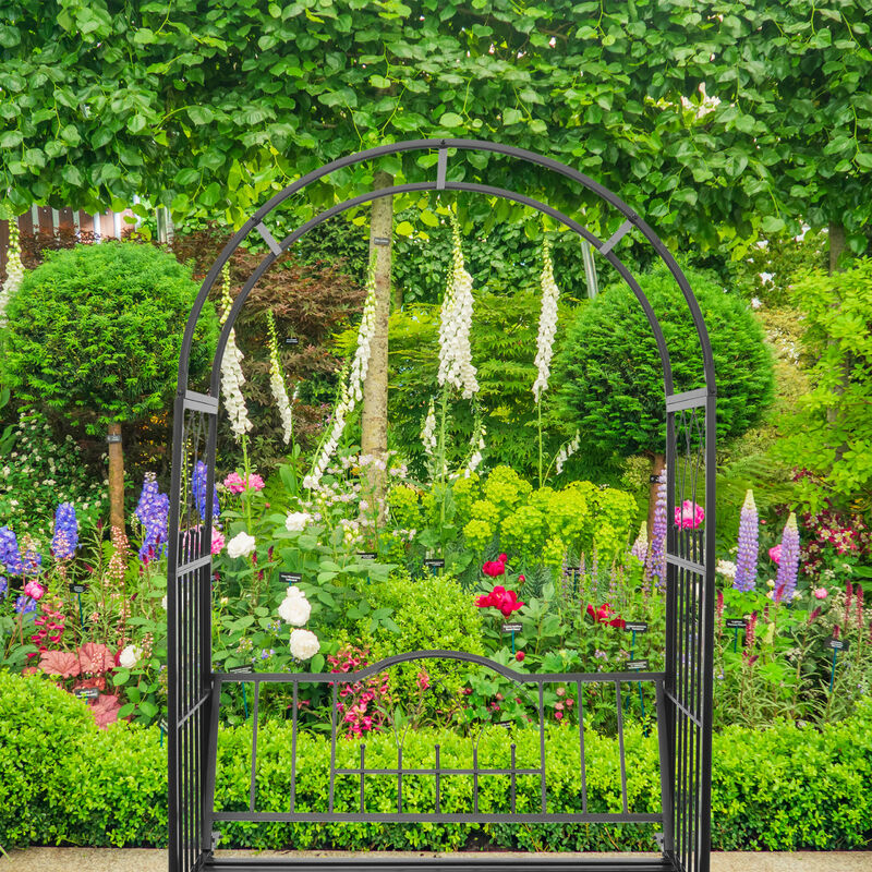 Arche de jardin Lenz Arceau pour rosiers et plantes grimpantes en fer forgé