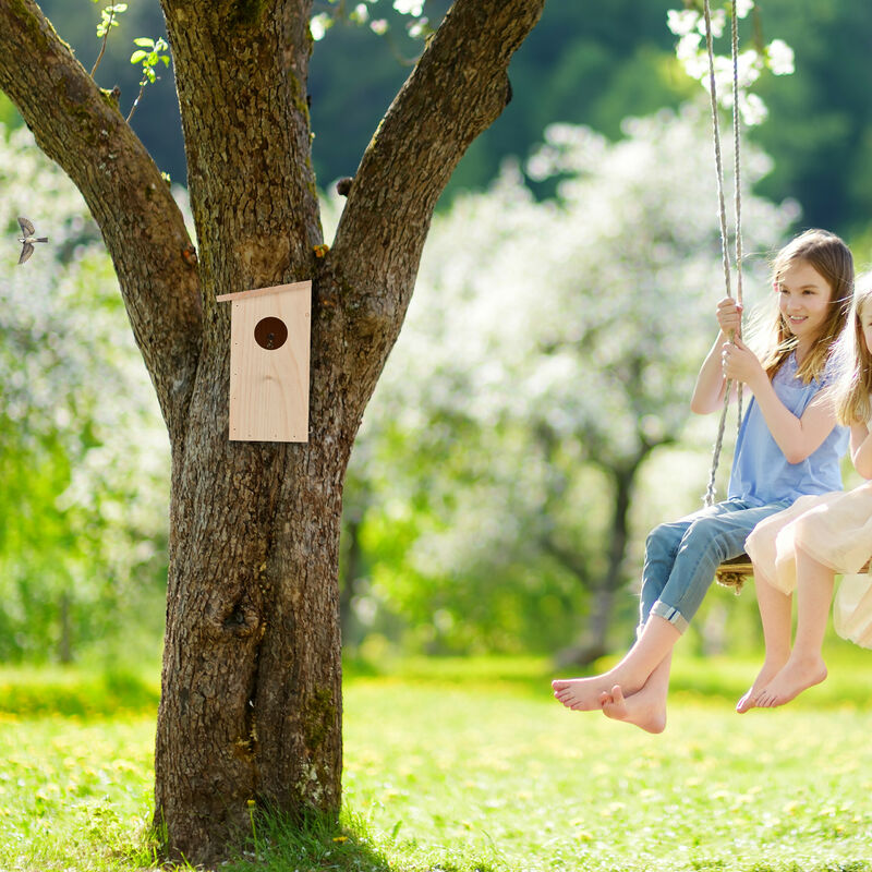 Relaxdays Nichoir D'extérieur Pour étourneaux, En Bois De Sapin Naturel 2x Trous Envol A Suspendre Nature 90687709 Relaxdays Nichoir D'extérieur Pour étourneaux, En Bois De Sapin Naturel 2x Trous Envol A Suspendre Nature 90687709