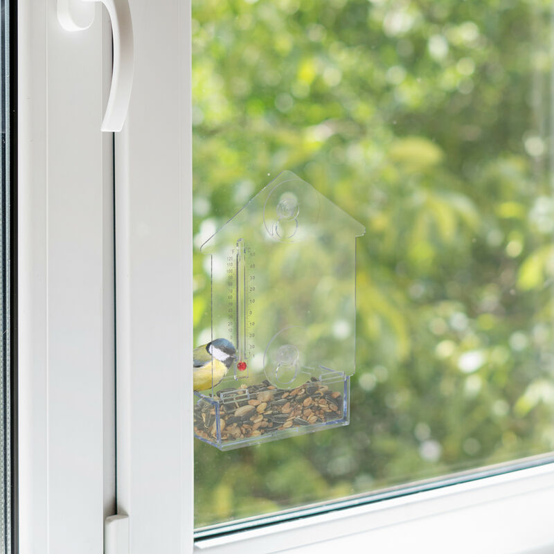 relaxdays 2 x fenêtre de mangeoire pour oiseaux - suspendue