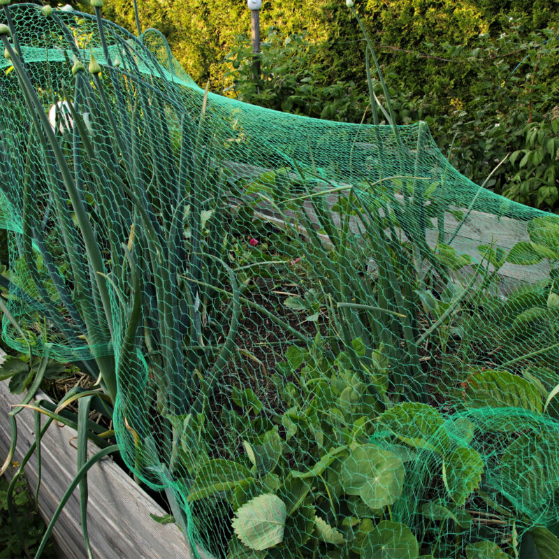 Filet De Protection Pour Jardin Et étang - Polyéthylène Vert/noir - Maille 20x20mm - Dimensions Environ 2x5m - Protection Anti-oiseaux Et Feuilles