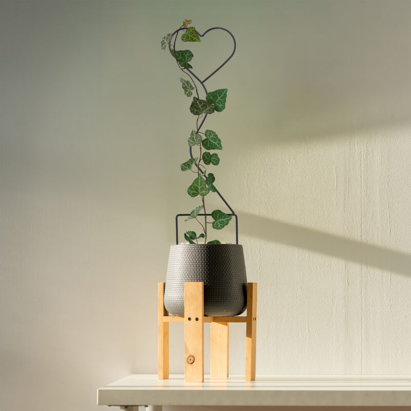 4 Tuteurs à Plantes En Forme De Cœur Relaxdays - Métal Noir, 49 Cm, Pour Lierre, Rosiers, Jardinières