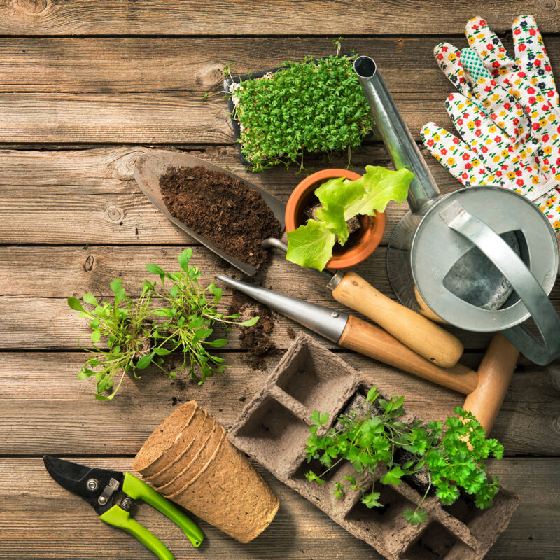 Relaxdays Tableau Pour Plantes à Piquer, Lot De 60, Jardin D’herbes & Plantes, 10,5 Cm De Long Panneaux A Planter 84658941