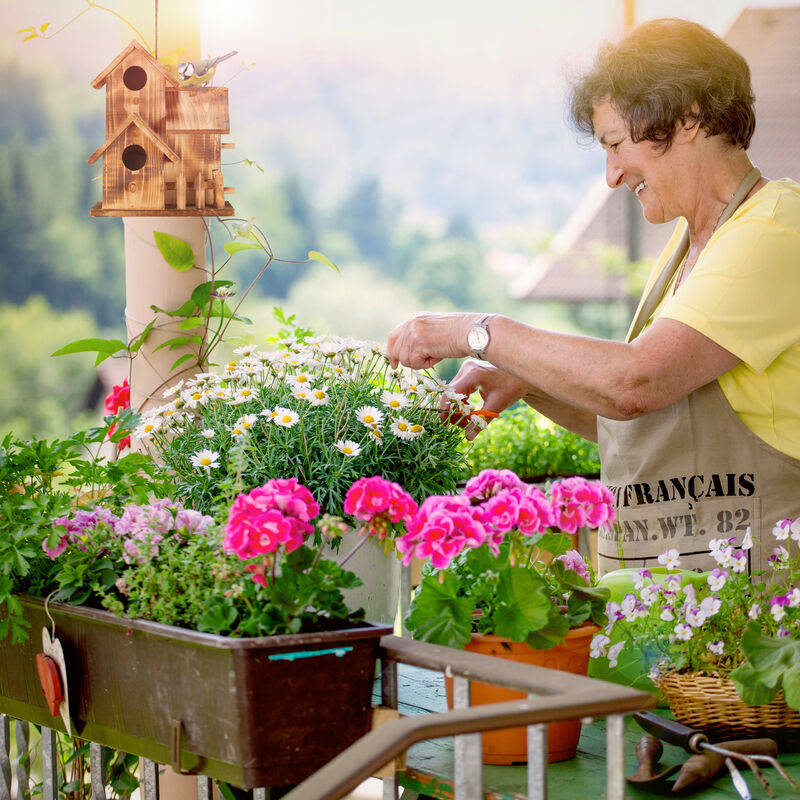 Maison D’Oiseaux Déco En Bois Non Traité – Nichoir Décoratif à Accrocher – Pour Balcon, Terrasse, Jardin – Style Naturel