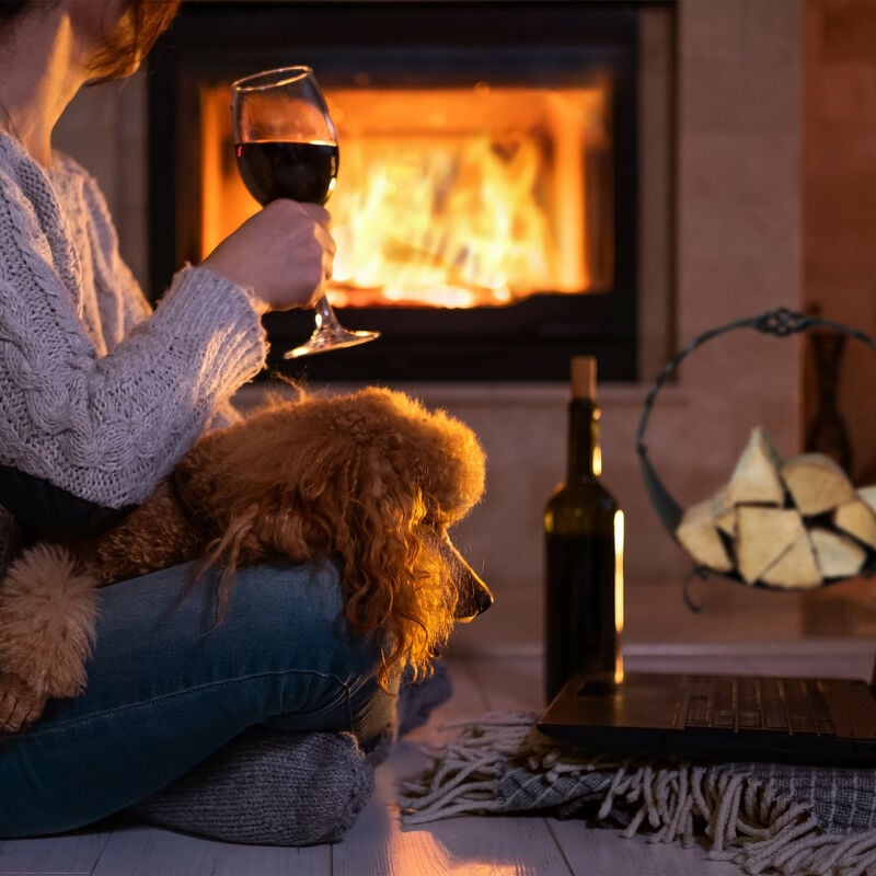 Relaxdays Panier bois de cheminée, métallique, pour bûches avec