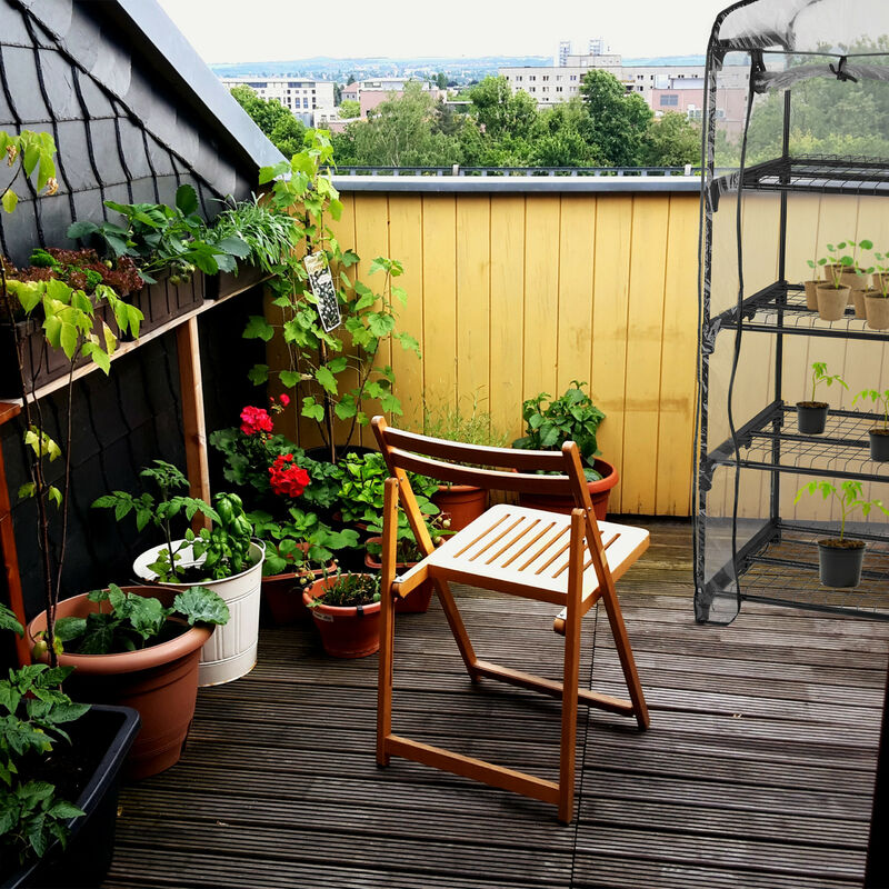 Relaxdays Serre de balcon, 3 étagères, cadre en acier, bâche PVC, HLP : 127  x 68 x