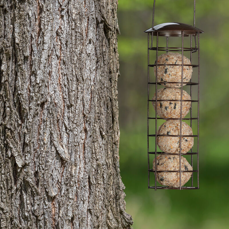 4 Pièces Porte-boules De Graisse, Distributeur D'aliments Pour Oiseaux Avec  Couvercle À Charnière, Porte-boules De Graisse Pour Suspendre, Porte-boules  De Graisse, Distributeur Pour Oiseaux Sauvages, Jardin, Extérieur,  Moineaux, Rouges-gorges (9,5x7cm