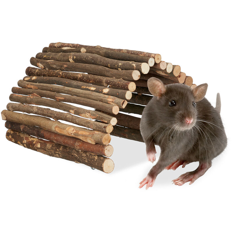 6 Clips de Piege a Souris, Piege a Rat Réutilisables, Tapetteà Souris  Hygiénique Efficace Tapette à