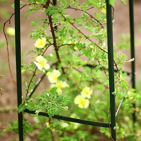 Relaxdays Obélisque de jardin, Colonne rosier, Arche plante grimpante, Set  de 2 métal Cage rose H