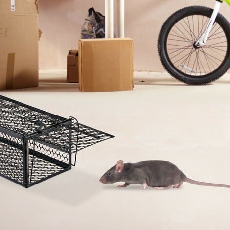 Relaxdays piège à souris vivante, cage métallique, attrape-souris, petits  rongeurs, 11,5 x 38 x