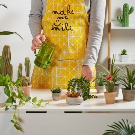 Arrosoir plantes d’intérieur, 1 litre, plastique, acier inoxydable, pour vos trésors verts, bec Arrosoir plantes d’intérieur, 1 litre, plastique, acier inoxydable, pour vos trésors verts, bec